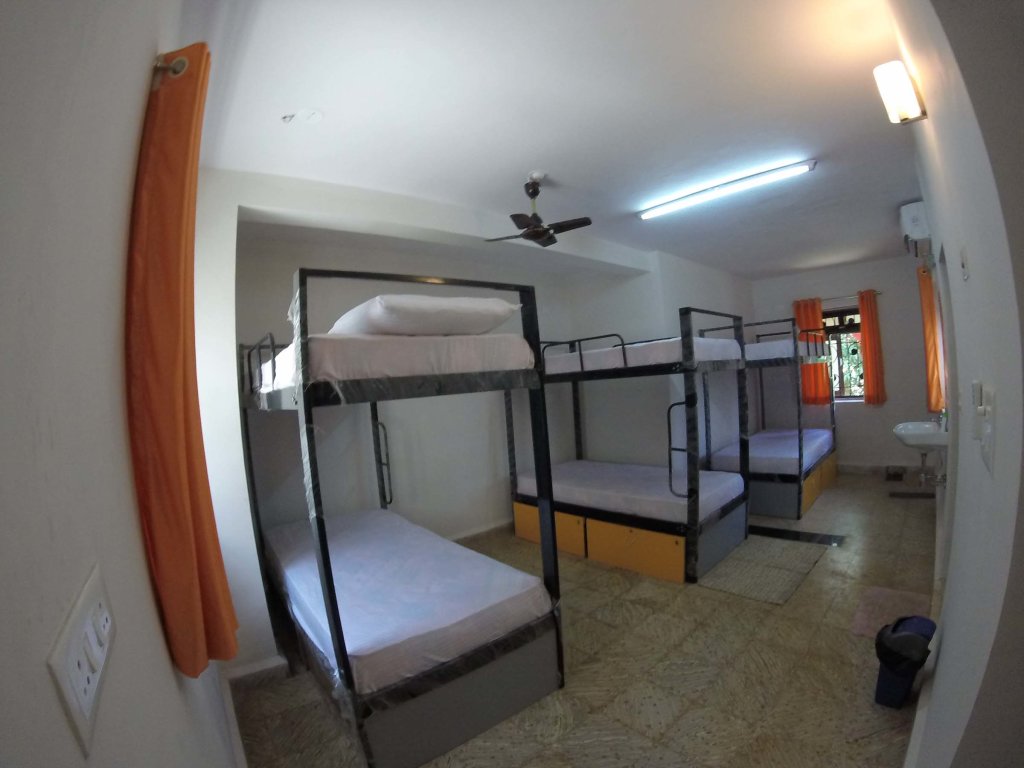 Cama en dormitorio compartido (dormitorio compartido femenino) Backpacker Panda Lake Pichola Udaipur