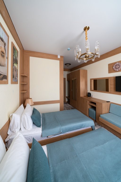 1 Bedroom Deluxe room with balcony Dvorets Narzanov
