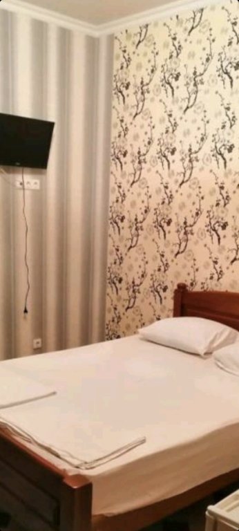 Superior Triple room with balcony and with view Bely Lotos Guest House