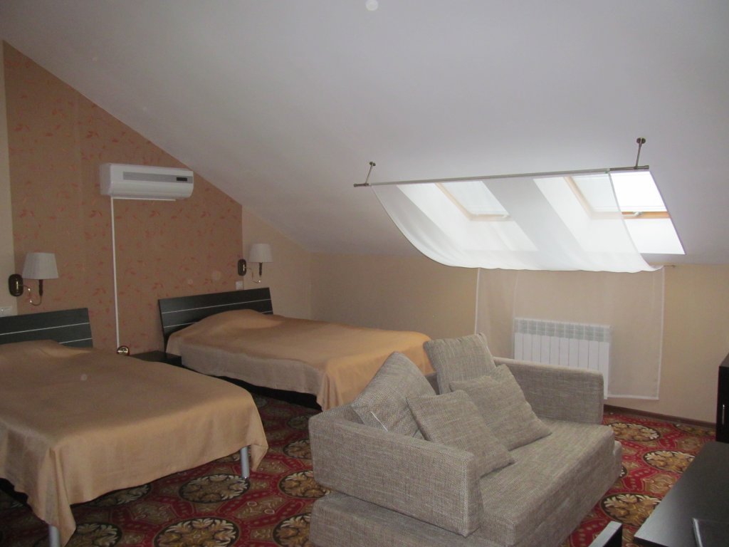 Standard double chambre Avec vue Hotel Kovcheg