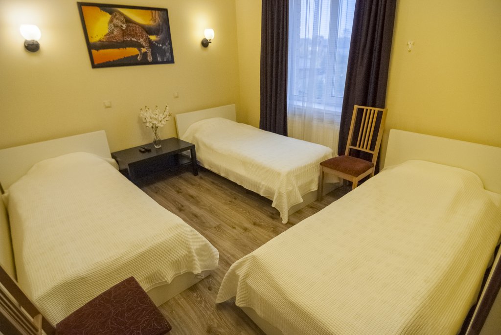 Habitación triple Estándar Noy Hotel Domodedovo
