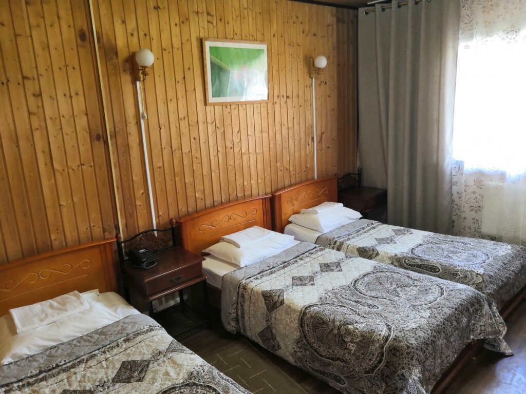 Standard triple chambre Avec vue Tyagachev Ski Resort