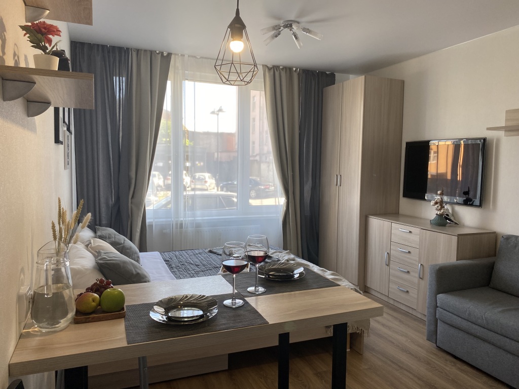 S'family Na Vasilevskom Ostrove Apartments 圣彼得堡