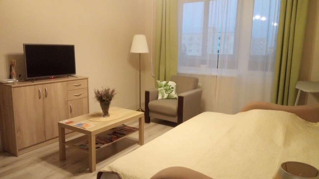Апартаменты Apartament on Green street Калининград