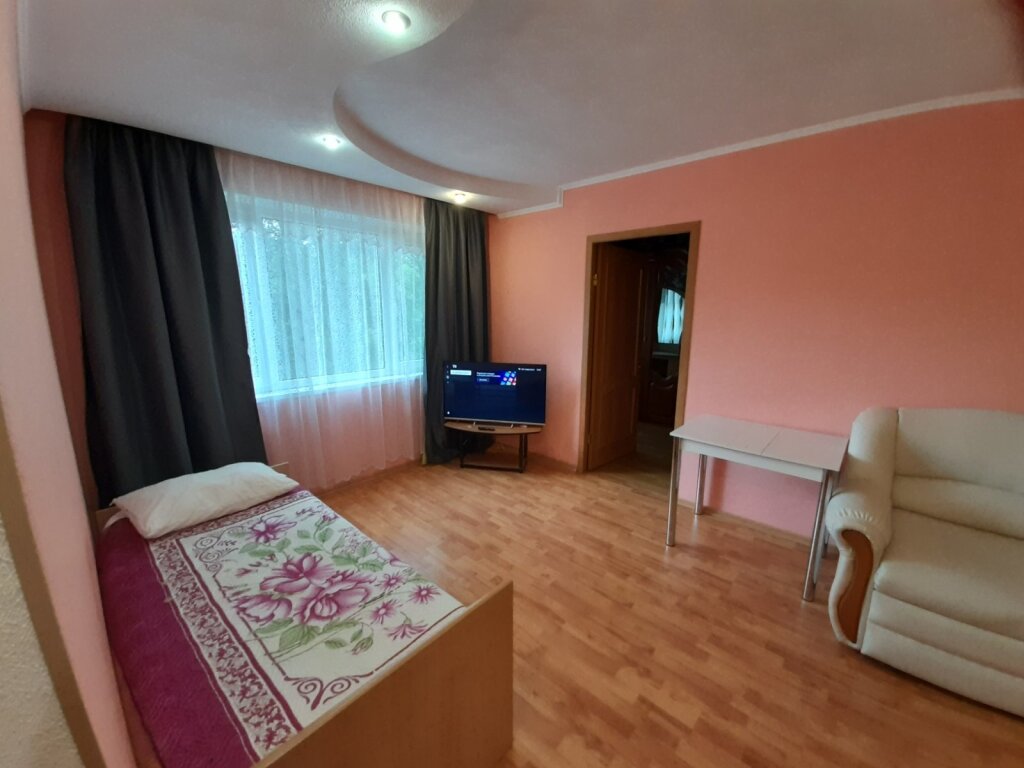 Apartamento 2 dormitorios con vista Kirova 17 Apartments