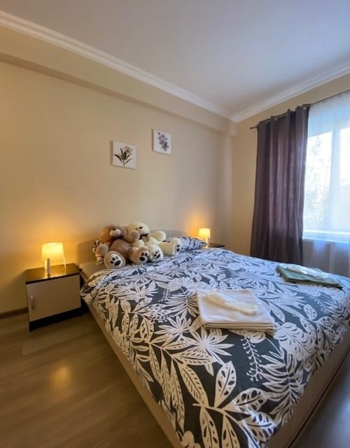 Standard Double room Mini-hotel Burdenko