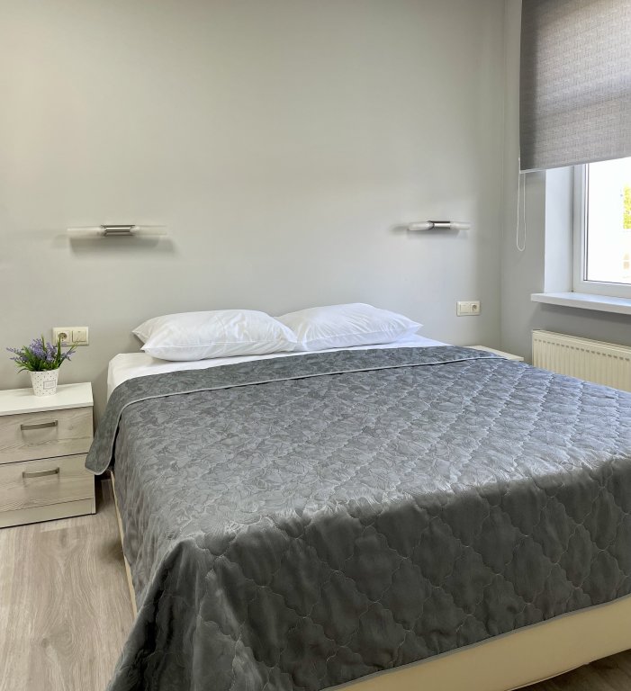 Habitación doble Confort Mini-Otel Chudovo