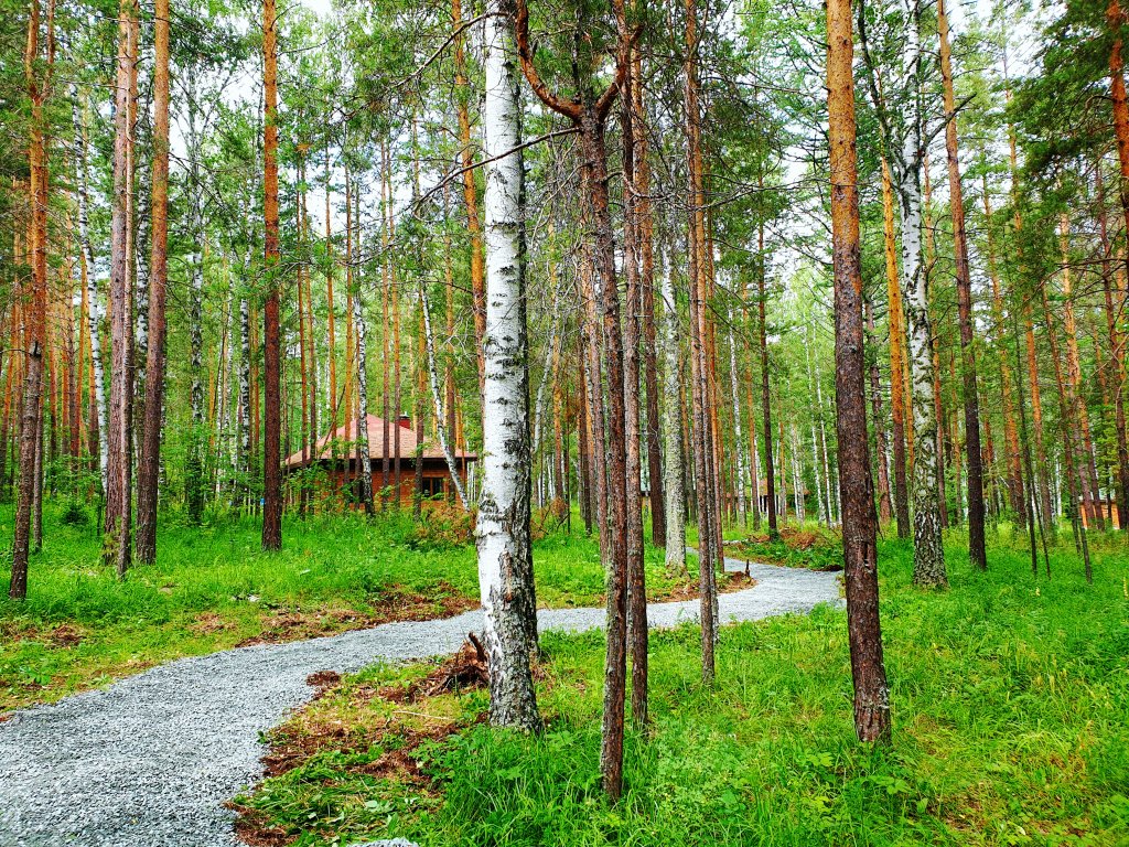 Кемпинг База отдыха Лапландия 4* (8 отзывов) в Абзаково, Горнолыжный курорт  Абзаково. Забронировать База отдыха Лапландия 4*