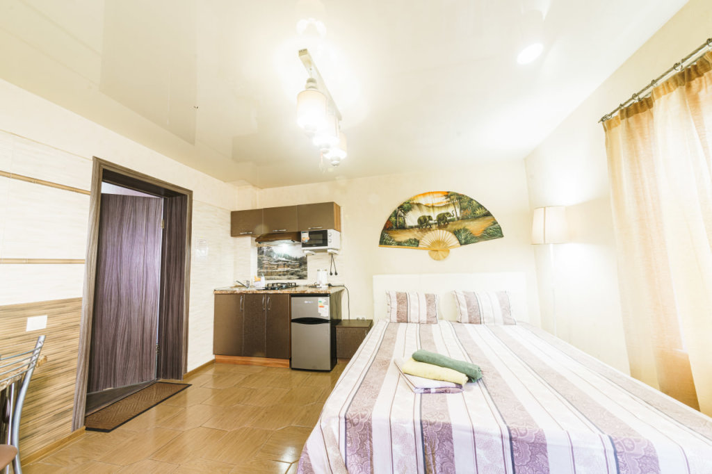 Apartamento 1 dormitorio con vista Komfortel Guest House
