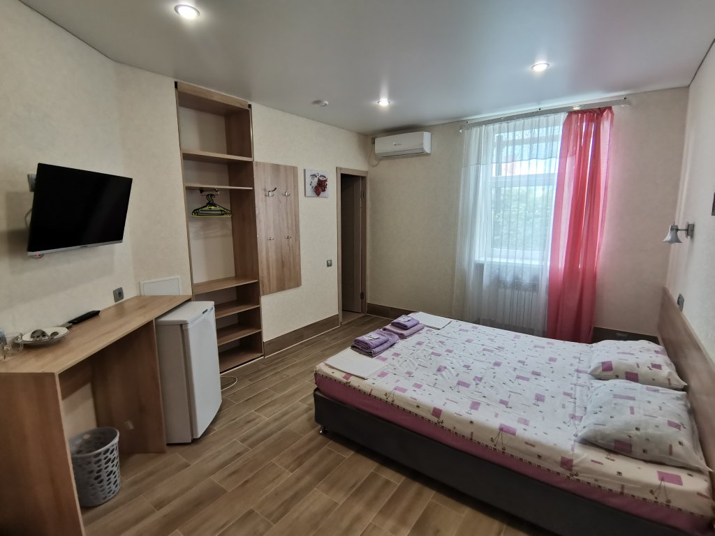 Standard Double room Samburova 248