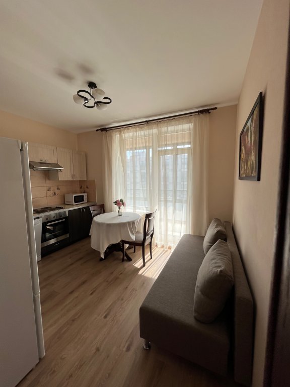 Apartamento 1 dormitorio con balcón y con vista With a Balcony near Nevsky Prospekt Apartments
