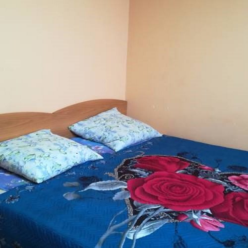 Standard Double room with balcony and with view Zheneva Hostel
