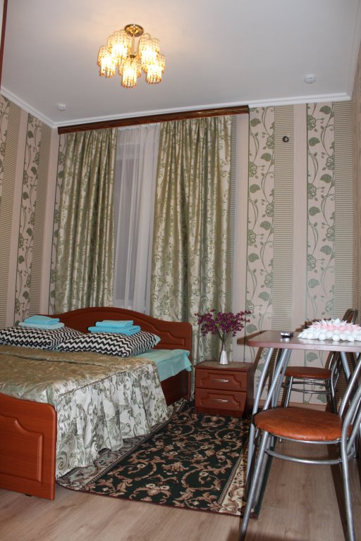 Standard Plus Double room with city view Hotel Dinastiya