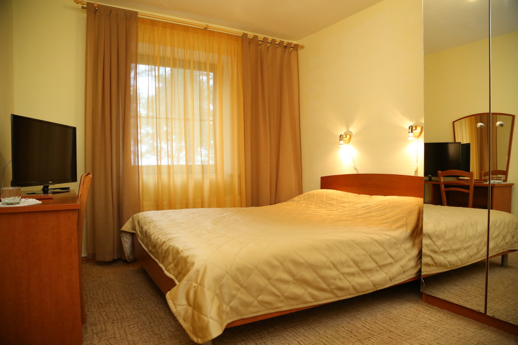 Standard Doppel Zimmer Pleskov Hotel