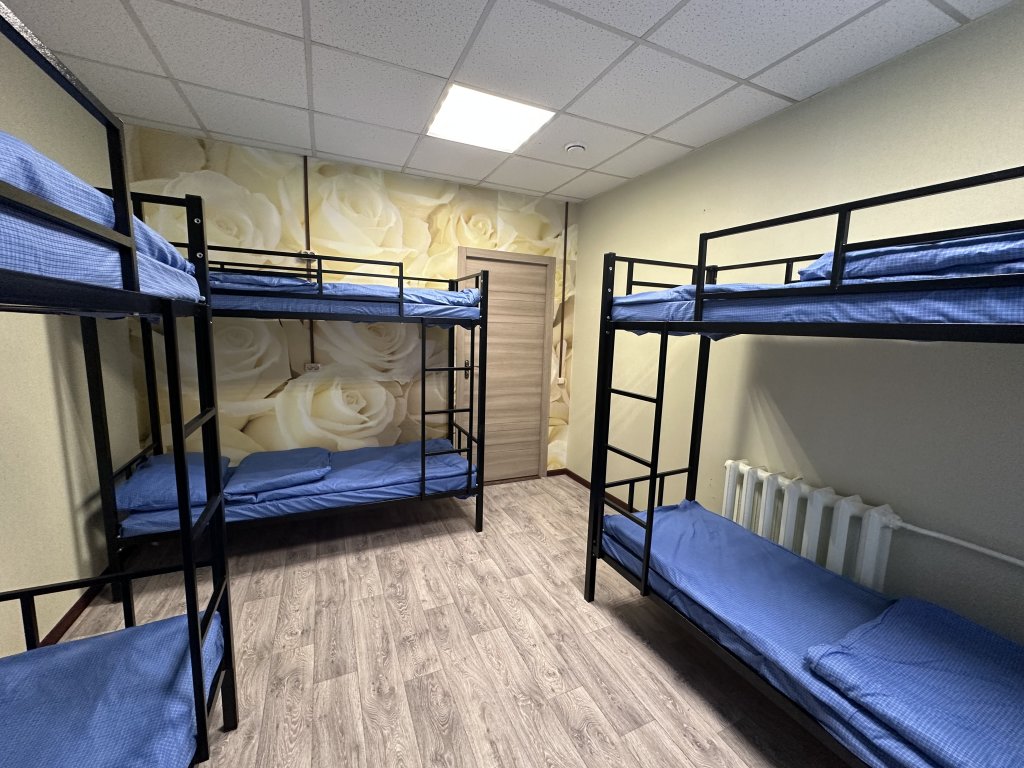 Cama en dormitorio compartido (dormitorio compartido femenino) Tochka Dmitrovskaya Hostel