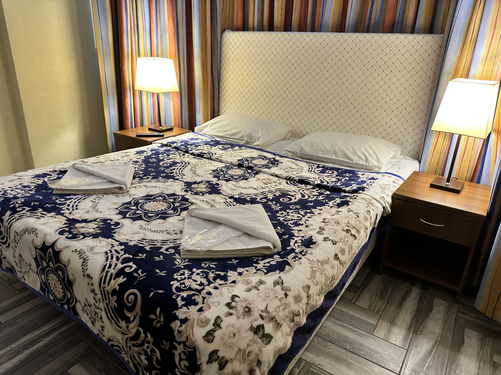 Standard Double room Vnukovo Port Hotel