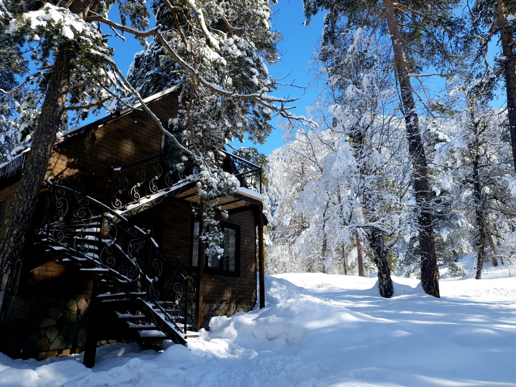 Дом для отпуска Дом Wild Wood в Архыз, Карачаево-Черкесская Республика.  Забронировать Дом для отпуска Дом Wild Wood