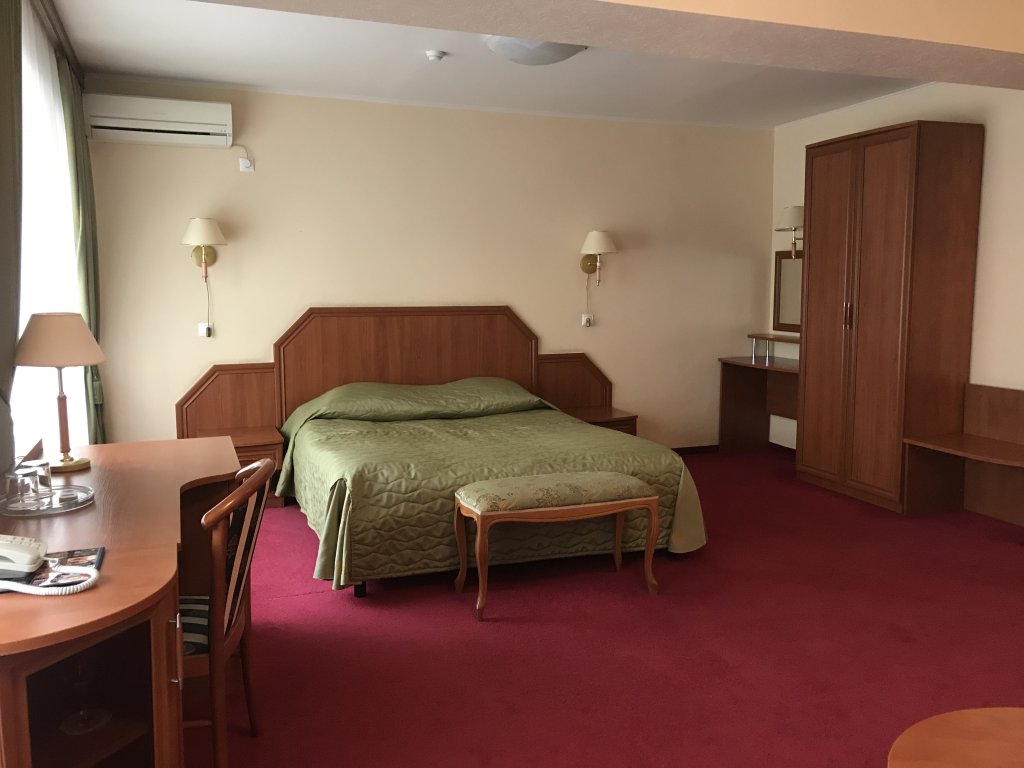 Double suite junior Akademicheskaya Hotel
