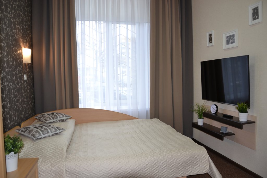 Standard Double room Euro Mini-Hotel