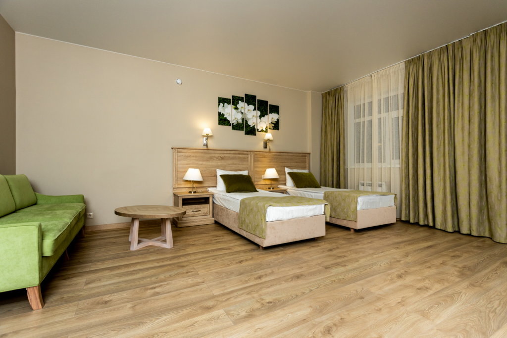 Comfort (Green building) Double room Hotel Arsenev