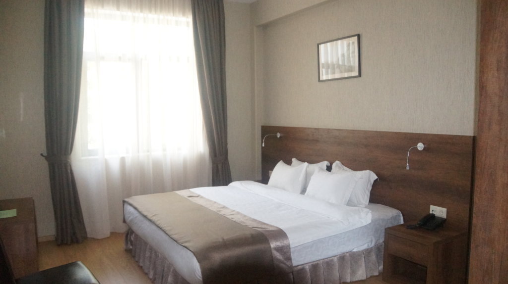 Standard Double room with city view Hotel Metekhi Line