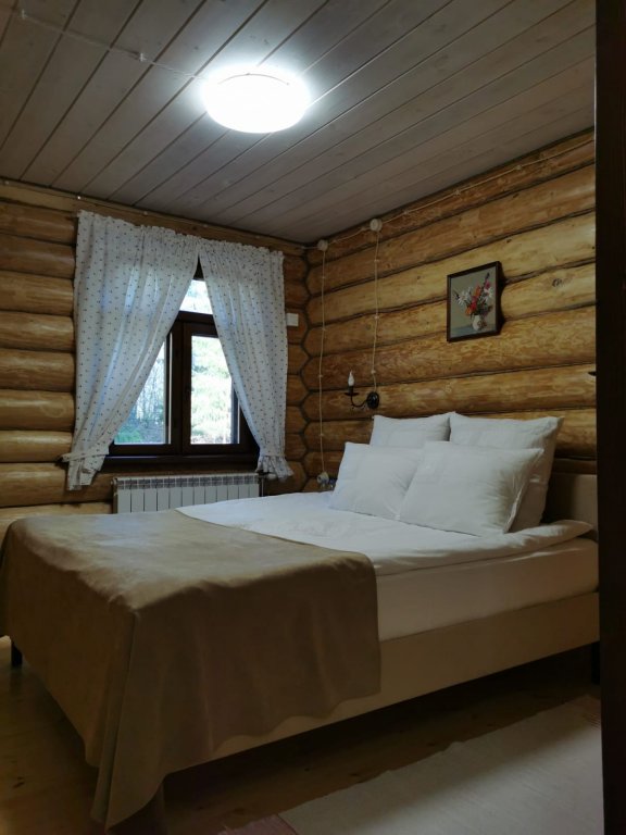 Habitación doble Deluxe (hotel building) 2-room Udivitelnaya Derevnya Mandrogi Tourist Complex