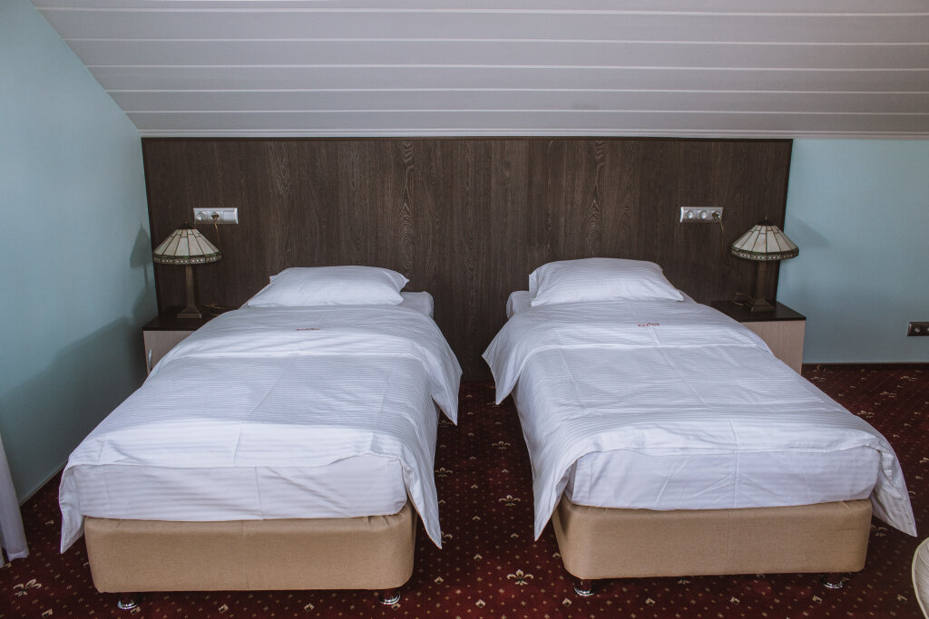 Standard Doppel Zimmer Eleon Domodedovo Mini-hotel
