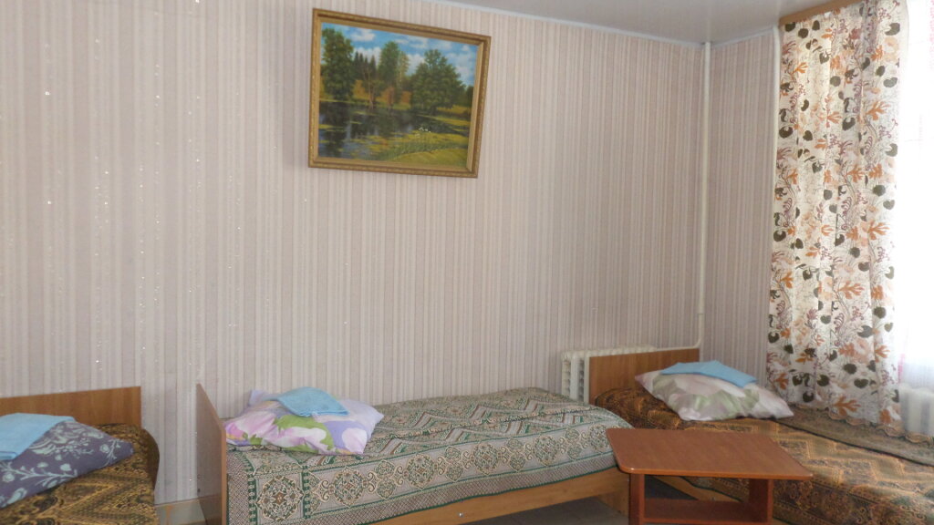 Bed in Dorm Na Kirova 5 Mini-Hotel
