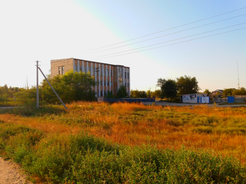 Погода в рогачик. Новый Рогачик Волгоградская область. Новый Рогачик Волгоград. Поселок новый Рогачик Волгоградской области. Природа посёлка новый Рогачик.