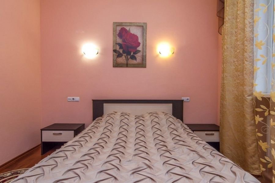 Standard Double room with view Ropsha Hostel
