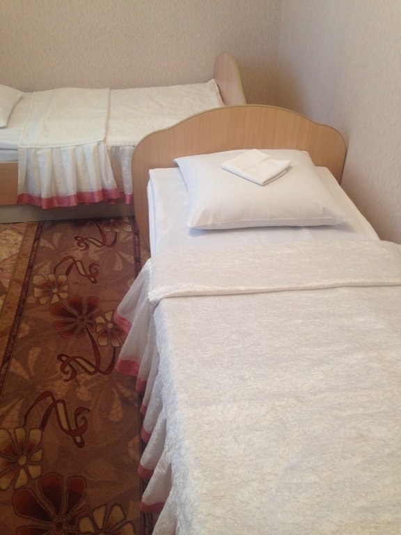 Economy Doppel Zimmer Mini-Hotel Na Uritskogo 14