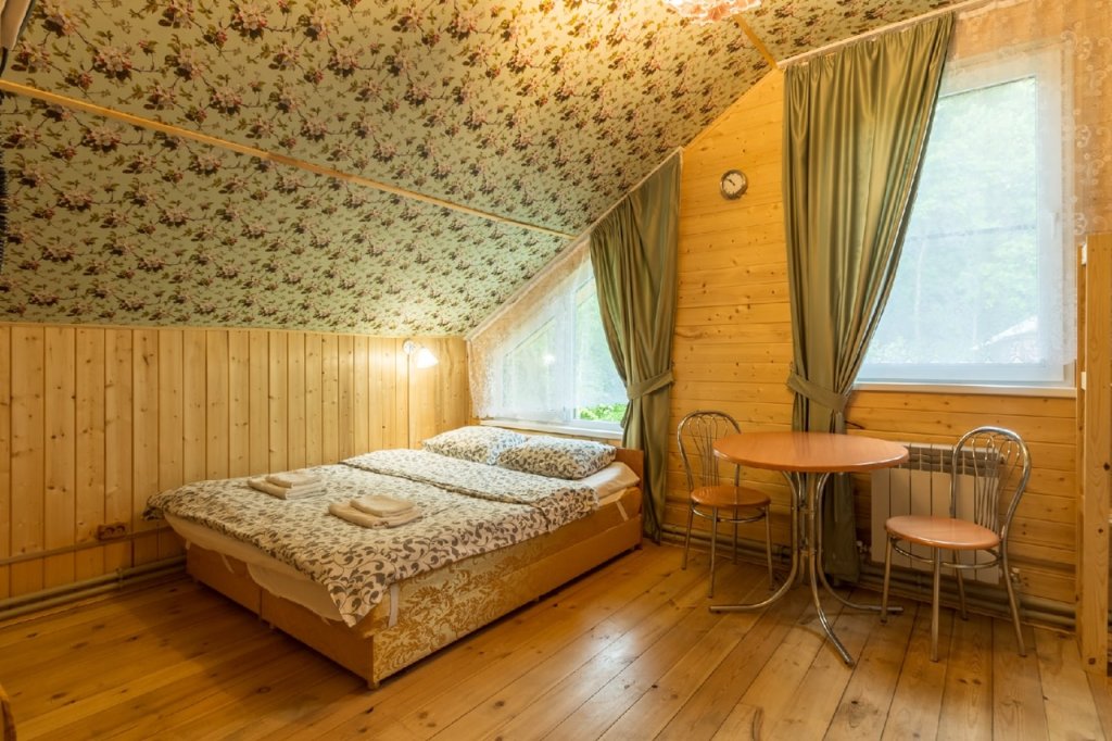 Standard Double room with park view Fokino-Privolzh'e Hotel
