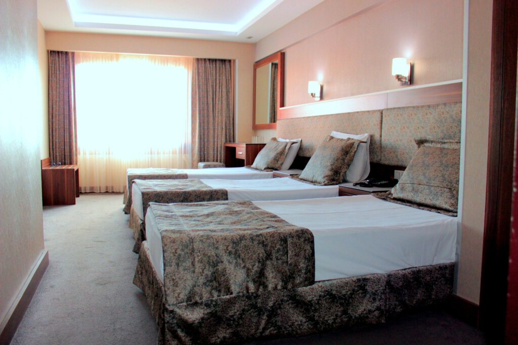 Standard Triple room with view Hotel Buyuk Paris