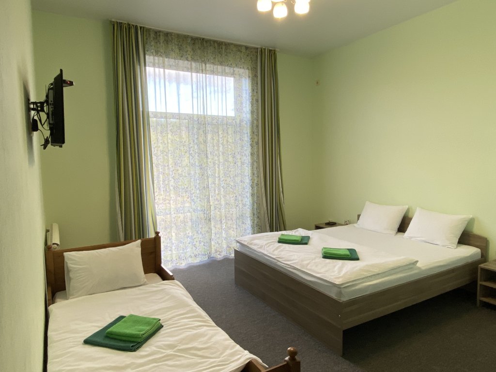Standard Triple room with view Hotel Novaya Elnya