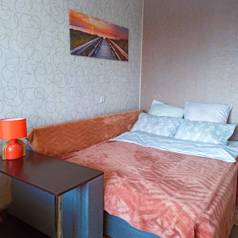 Apartamento doble Económica 1 dormitorio V tsentre Kaliningrada s vidom na gorod Flat