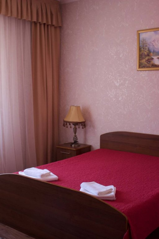 Standard Double room Viktoriya Hotel