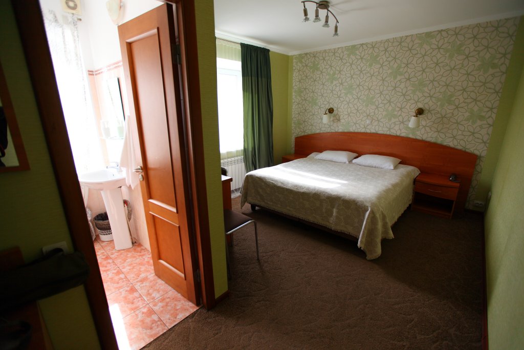 Standard Double room with city view Dva Kryla Inn