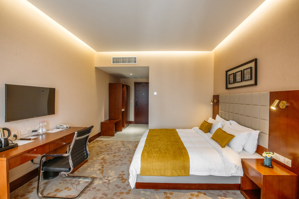 Standard Double room Horizont Hotel Tbilisi
