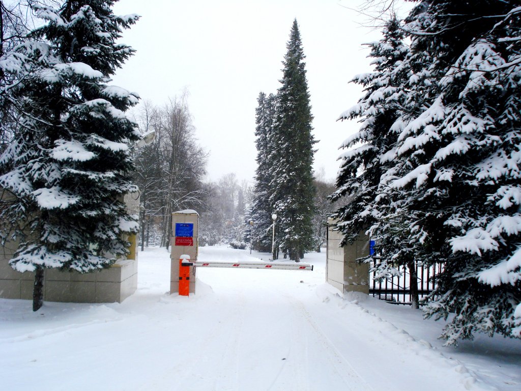 Парк отель нагорное. Дом отдыха Нагорное Куркино. Нагорный фото.