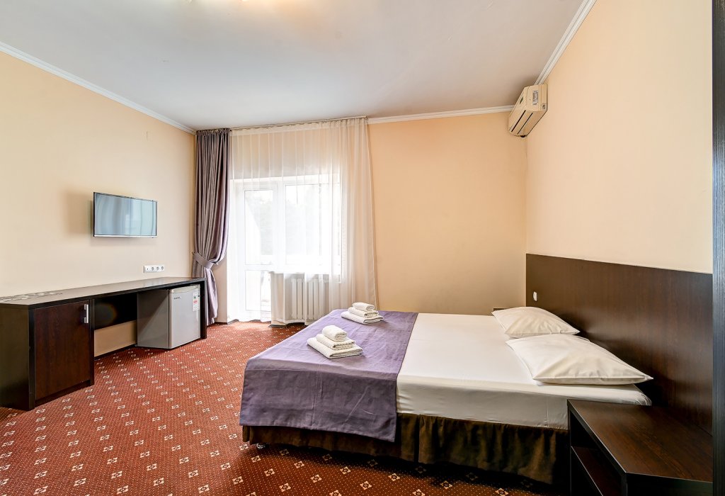Standard Double room with city view Viktoriya Hotel