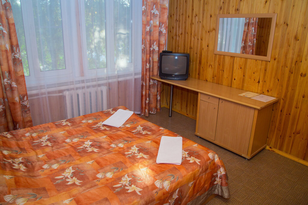 Economy Double room with view Dubrovskij Hostel