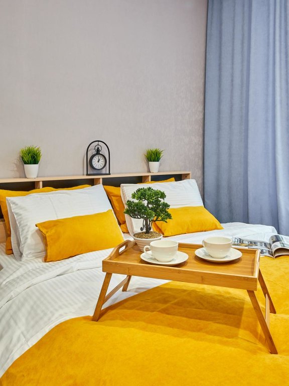Classique double appartement 1 chambre avec balcon Vidineevskiy Parkhomenko 156v Apartments