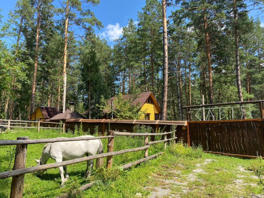 Кемпинг Гостевой Дом Cabin (4 отзыва) в Аскат, Республика Алтай.  Забронировать Гостевой Дом Cabin, улица Кузьмы Басаргина, д.12