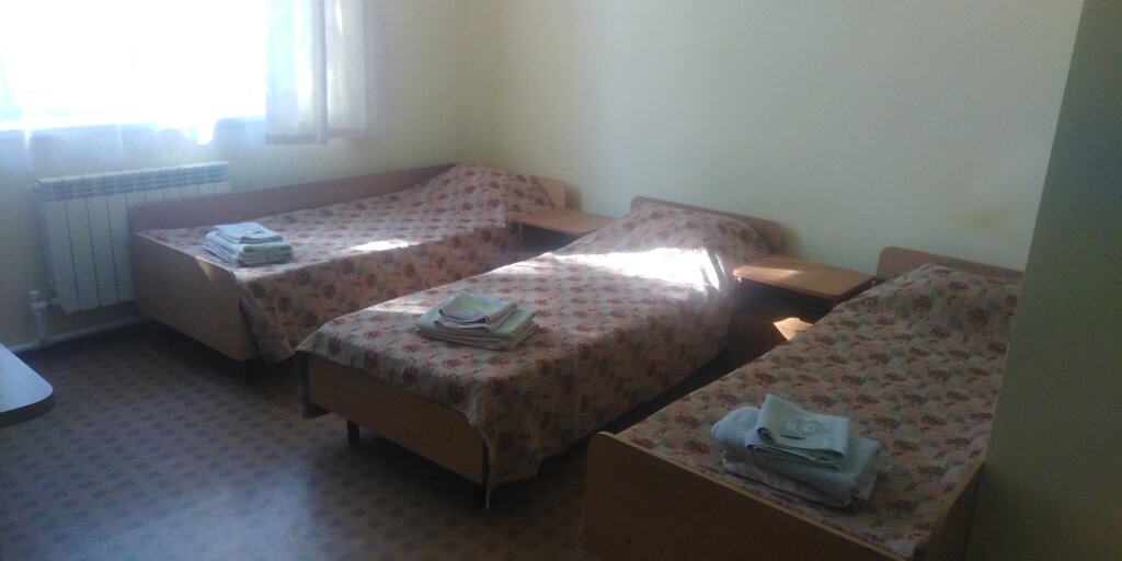 Cama en dormitorio compartido Oazis Hotel