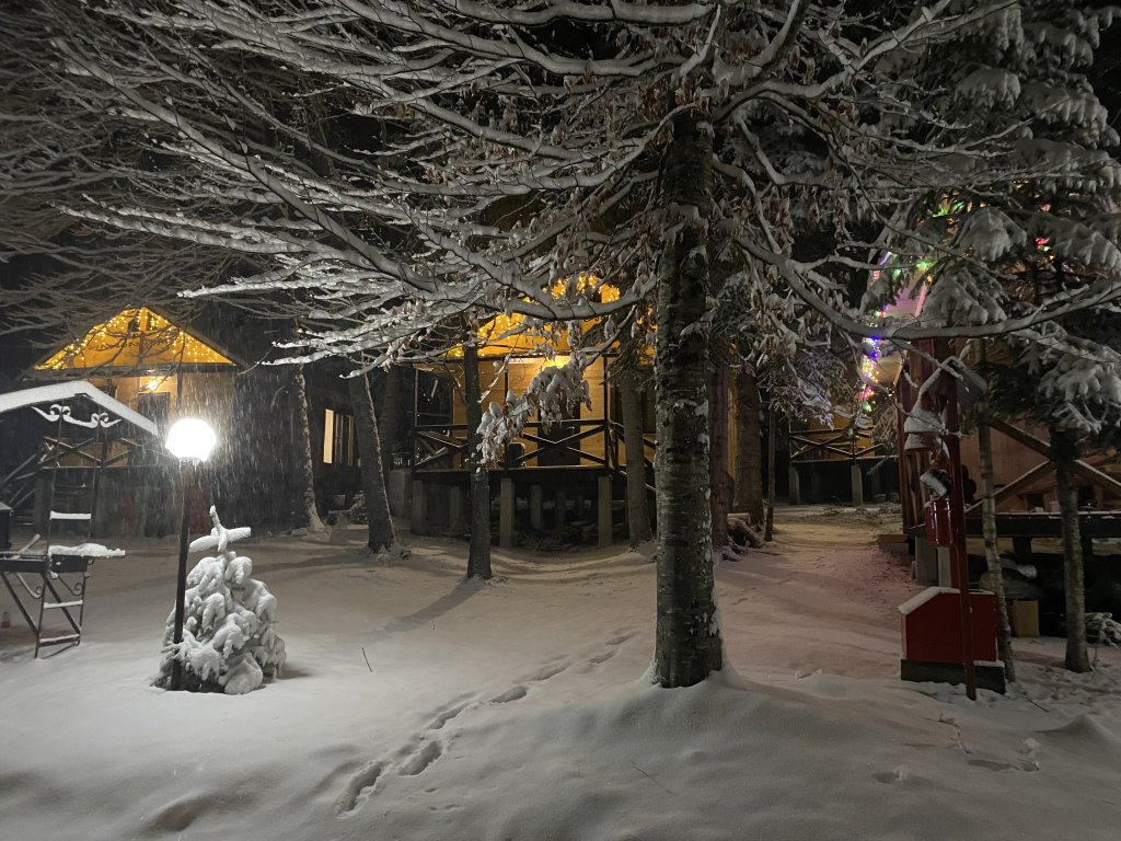 Гостевой дом Тур-домики Поляна Зубров 2* в Архыз, Карачаево-Черкесская  Республика. Забронировать Гостевой дом Тур-домики Поляна Зубров 2*