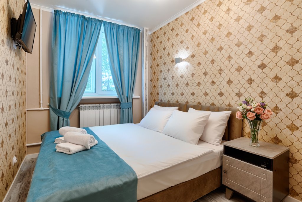 Двухместный номер Comfort с видом на город Отель Пушкинская Усадьба