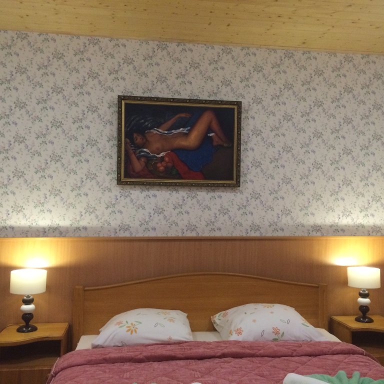 Standard double chambre Villa Argo Mini-Hotel