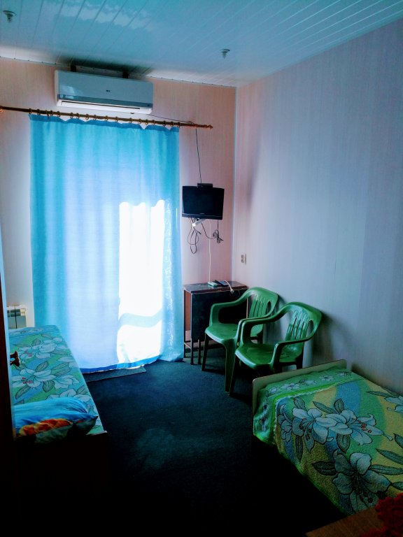 Économie double chambre avec balcon et Avec vue Solov'inaya Trel Guest house