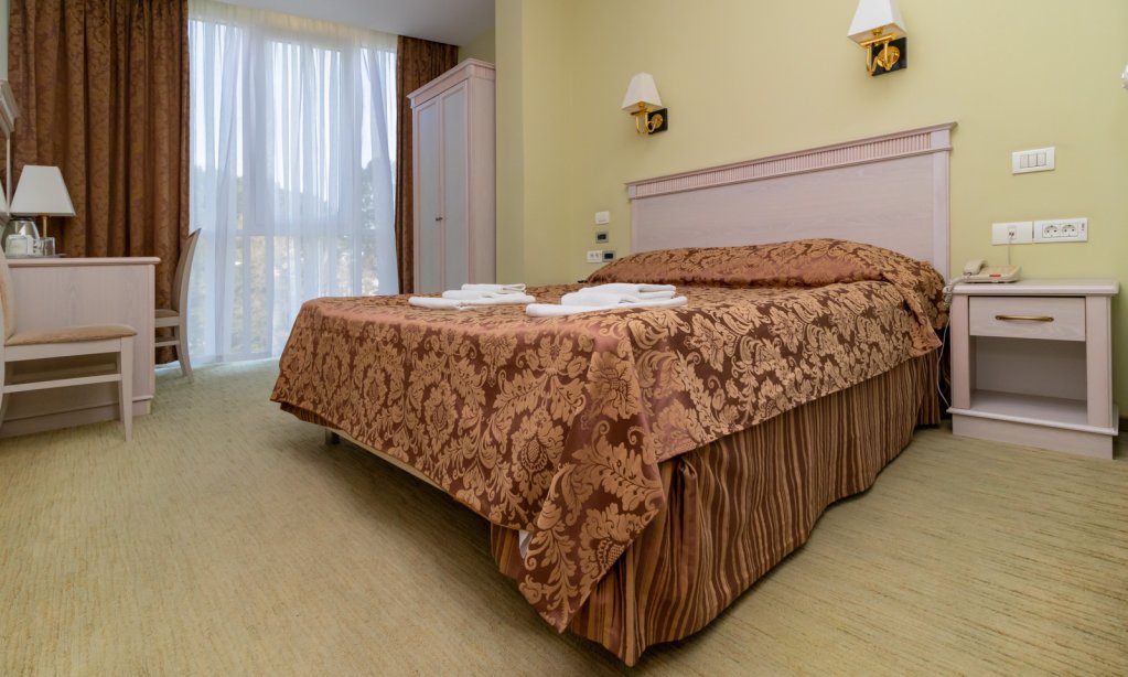 Standard Double room with park view Izumrud Health Resort
