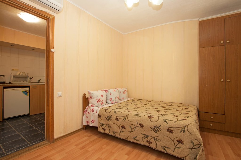 Standard Double room with balcony and with view Гостевой дом Евгения